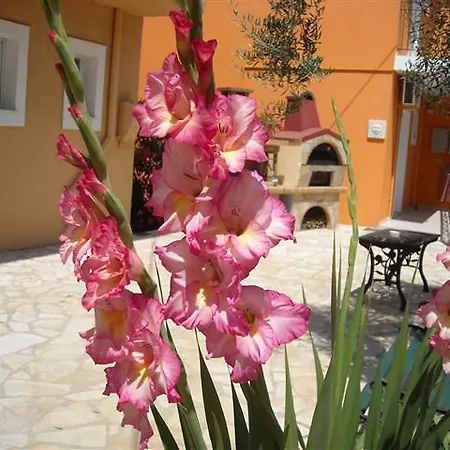 Erietta Hotel Svoronata